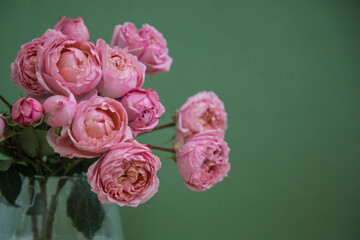 Bouquet of pink roses on a green background