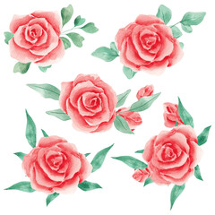 Red roses. Watercolor roses. Texture. Scrapbooking. Design. Set for decoration. Flower arrangement. Clip art. Watercolor set of flowers. Valentine's Day. February 14. Heart of roses. Border.