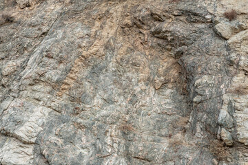 Granitic Rocks / Leucocratic Plutonic Rocks. intrusive / dikes. sheared and stained brown from iron oxides.( grdb ）. Angeles Crest Scenic Byway, Los Angeles County, California. San Gabriel Mountains.