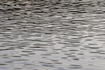 Tranquility water in calm