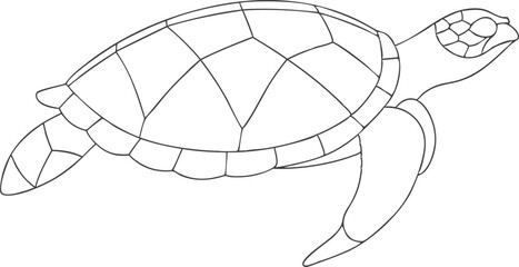 continuous single line drawing of sea turtle, line art vector illustration