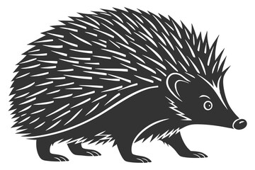 hedgehog black silhouette color and white background