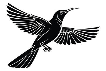 hummingbird black shilouttee vector icon white background