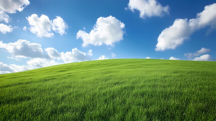 Obraz premium Rolling Hills and Blue Skies: A Tranquil Meadow Scene