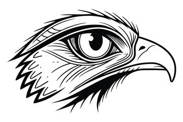 icon of eye black color and white background