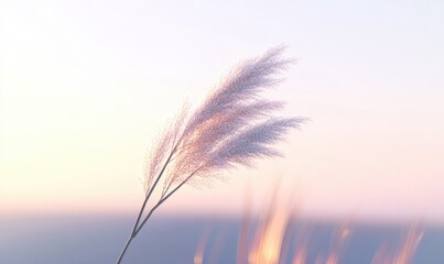 A single stalk of grass is in the foreground of a blue sky