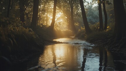 Obraz premium Sunlight Streams Through the Trees by a Calm River in a Serene Forest