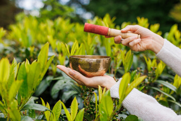 A singing bowl with a wooden mallet rests in a hand amidst green leaves. The metallic bowl, used...