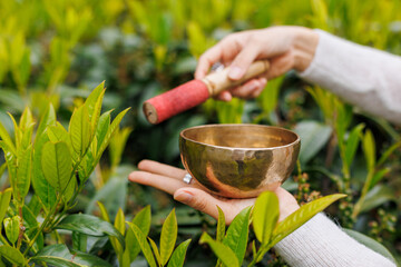A traditional meditation bowl with a textured metal surface, paired with a wooden mallet. The...