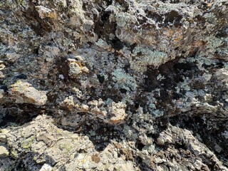 Mountain rock moss texture close-up background. Gray, black dark brown stone rock granite basalt texture background. Mountains surface. Close-up. Cracked broken crumbled. Mossy rock texture.
