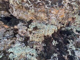 Mountain rock moss texture close-up background. Gray, black dark brown stone rock granite basalt texture background. Mountains surface. Close-up. Cracked broken crumbled. Mossy rock texture.
