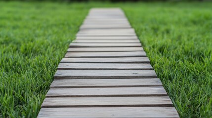 Path of beginning and start exploration, A wooden pathway leads through vibrant green grass, inviting exploration and connection with nature.