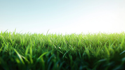 Fototapeta premium Green lawn with fresh grass outdoors. Nature spring grass background texture. Generative AI