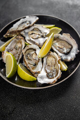 Oysters fresh seafood tasty food dish Fresh delicious gourmet food background on the table rustic food top view copy space top view pescetarianism diet