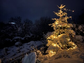 Beleuchteter Weihnachtsbaum im Schnee