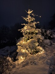 Beleuchteter Weihnachtsbaum im Schnee
