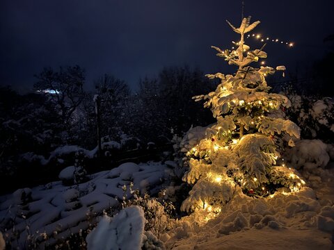 Beleuchteter Weihnachtsbaum im Schnee