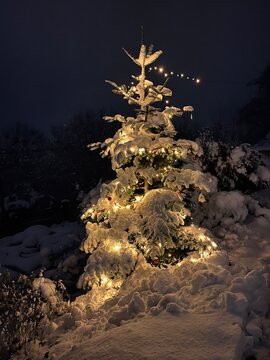 Beleuchteter Weihnachtsbaum im Schnee