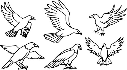 Raven bird or eagle line art hand drawn logo icon vector illustration collection