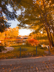 Naklejka premium Bright and red autumn park