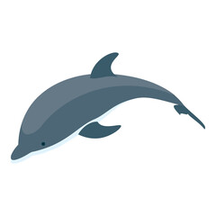 3D Isometric Flat  Set of Types Of Dolphins. Item 8 © TarikVision