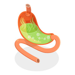 3D Isometric Flat  Set of Stomach Problems. Item 4