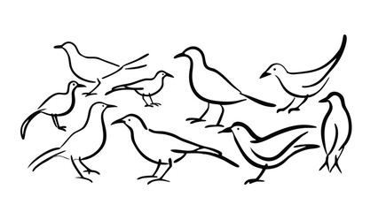 set of birds silhouettes