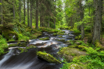 Fototapeta premium Höllfall, Großer Kamp, Waldviertel, Niederösterreich, Österreich
