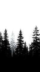 Black Forest Landscape on White Background for Nature and Travel Themes