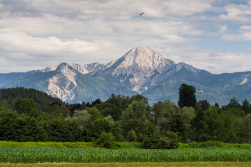 Mittagskogel, Karawanken, Kärnten, Österreich