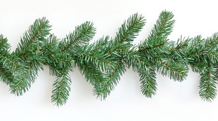 A close up of a green christmas garland on a white background