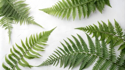  Vibrant green fern fronds with intricate patterns, arranged in a natural, organic way.