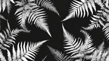 A black and white photo of fern leaves on a black background