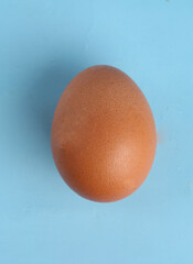 chicken egg on a blue background