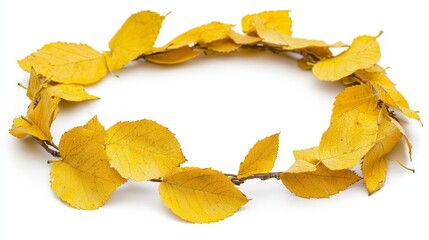 Naklejka premium A wreath of yellow leaves on a white background