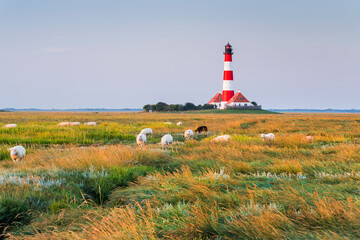 Leuchtturm Westerhever, Schafe, Schleswig-Holstein, Deutschland