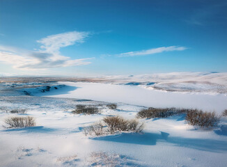 Obraz premium A frozen tundra landscape blanketed in snow.