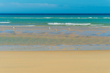 Jandia beach Mal Nombre Fuerteventura at Canary Islands of Spain
