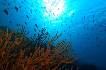 Blue ocean, sun, red soft corals and sea rods on the tropical reef. Marine life and reef, tropical ecosystem with sea surface and sun. Scuba diving on the reef, wild nature and fish. Scuba diving trip