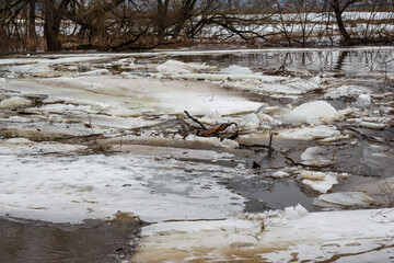 Ice chunks with branches floating on the river during spring ice drift