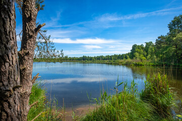 Walking trip through the bigest natural moor, Wurzacher Ried, South Germany