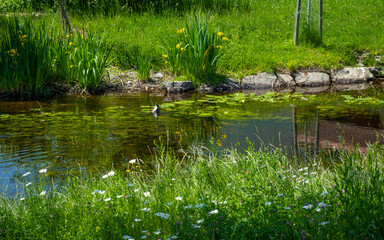 Walking along the river Wurzacher Ache through the small town Bad Wurzach in south Germany