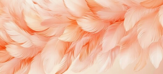 Fototapeta premium Delicate peach fuzz feathers create an elegant pattern evoking the beauty of nature