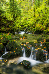 Bach im Cirque de Consolation, Consolation-Maisonnettes, Doubs, Frankreich