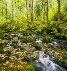 Bach im Cirque de Consolation, Consolation-Maisonnettes, Doubs, Frankreich