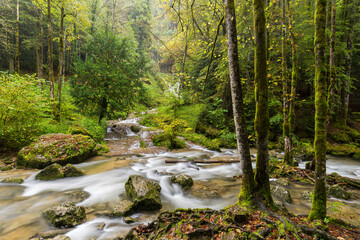 Fluss H&eacute;risson, Men&eacute;trux-en-Joux, Jura, Frankreich