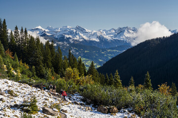 Fototapeta premium Wanderer, Blick zum Lechquellengebirge vom Gauertal, Rätikon, Schruns, Vorarlberg, Österreich