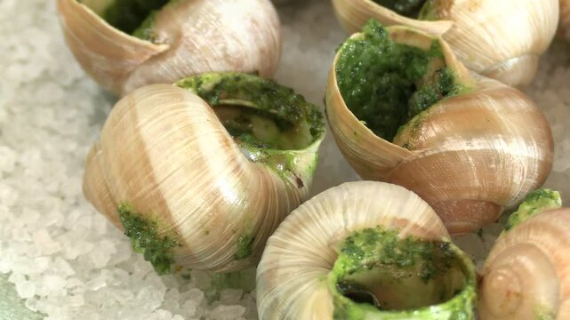 douzaine d'escargots, en gros plan, dans une assiette
