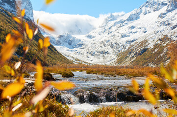 Aspen Colorful Autumun under Snow Mountain with Lake