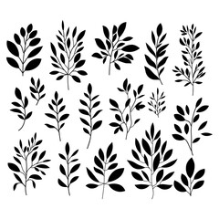Collection floral elements. Vector set botanical illustration. Minimalist plant symbols. Black silhouette branches . 